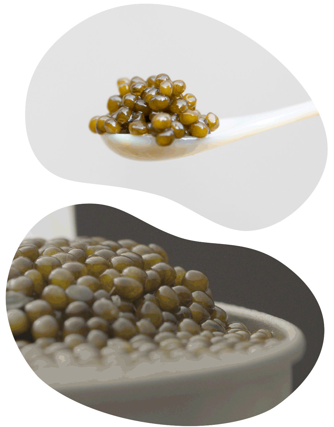 serving ossetra caviar