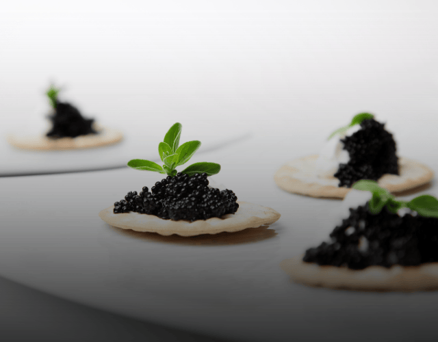 Best Caviar for Beginners