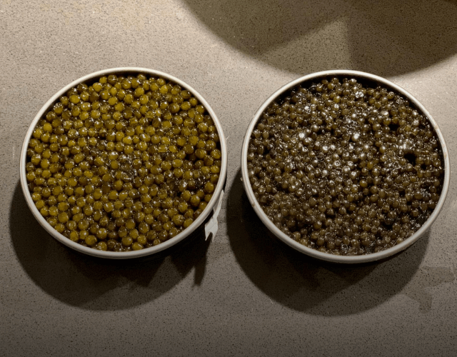Beluga vs. Osetra Caviar: Differences, Taste, Price & More