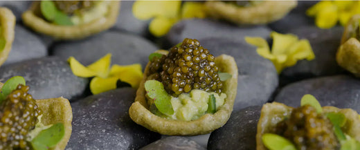 Caviar Nutrition Label Explained | OM Caviar