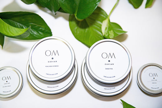 Is Caviar Healthy? A Balanced Guide
