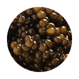 kaluga hybrid caviar