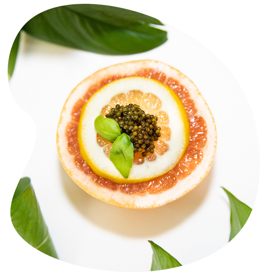 Ossetra Caviar